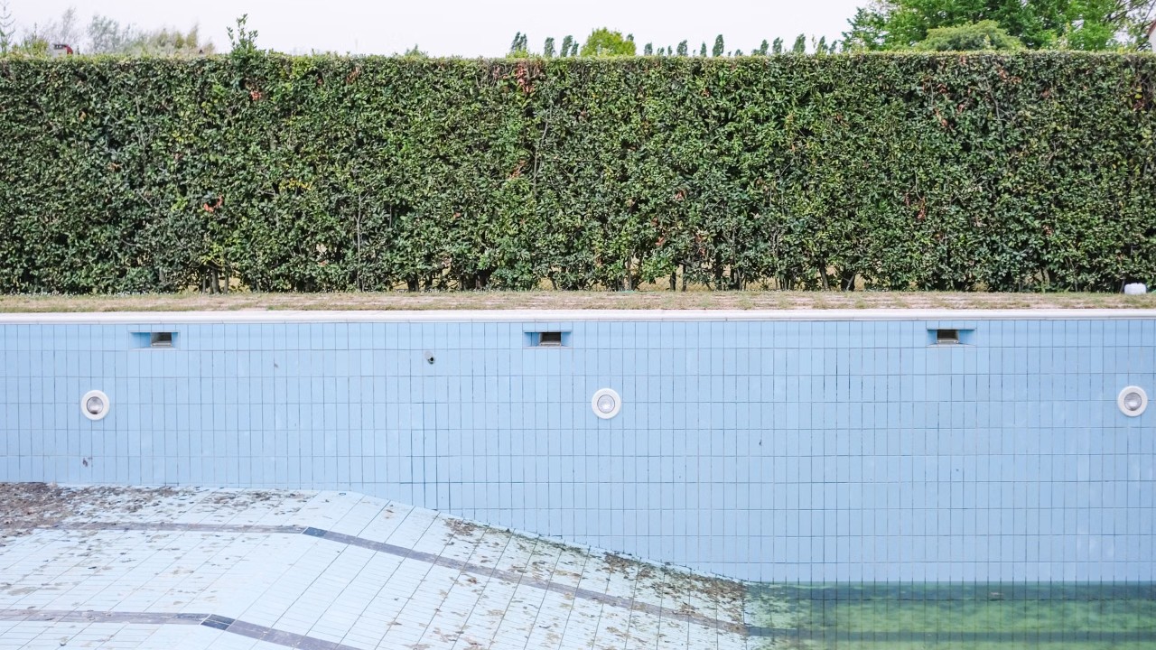 Piscina vazia de um resort, com azulejos azuis e cerca viva ao fundo